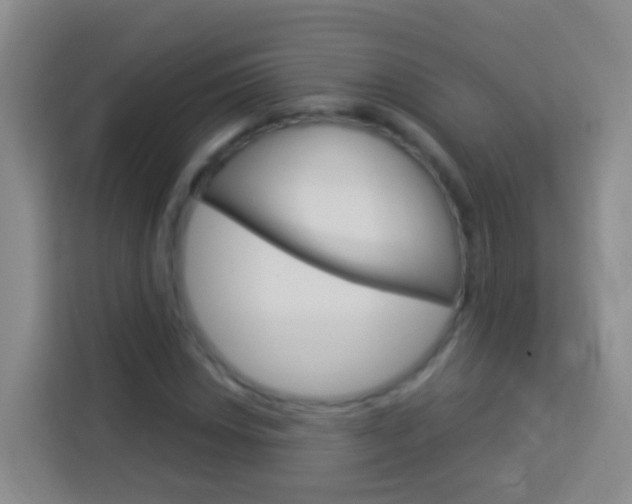 X0000114071018200910051011