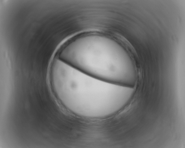 X0000114071020200910051011