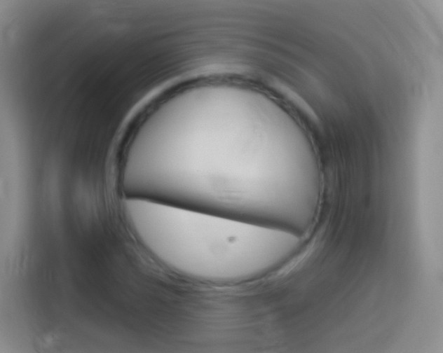 X0000114071021200910051011