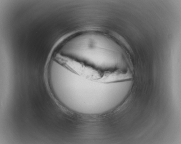 X0000114071024200910051011