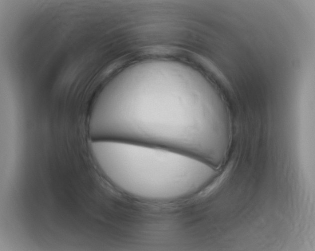X0000114071025200910051011