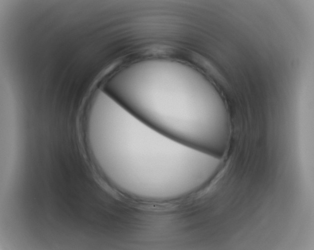 X0000114071026200910051011