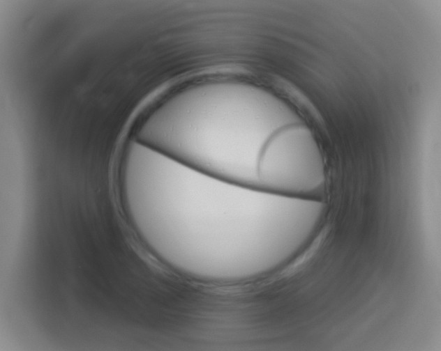 X0000114071029200910051011