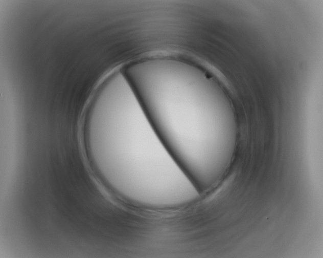 X0000114071034200910051011