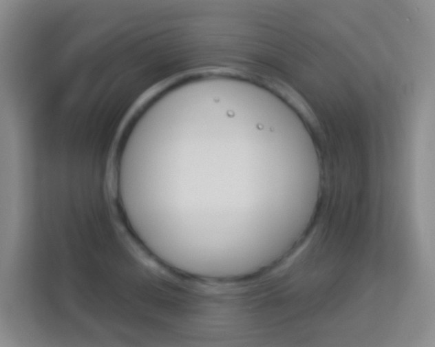 X0000114071036200910051011
