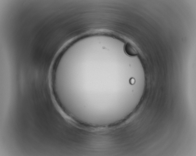 X0000114071038200910051011