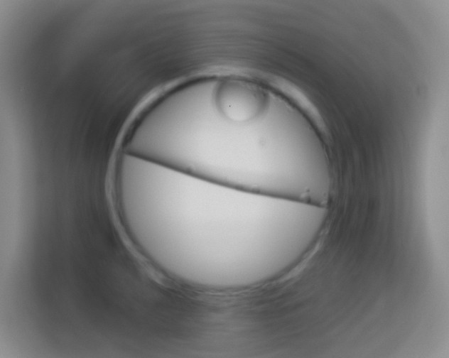 X0000114071040200910051011