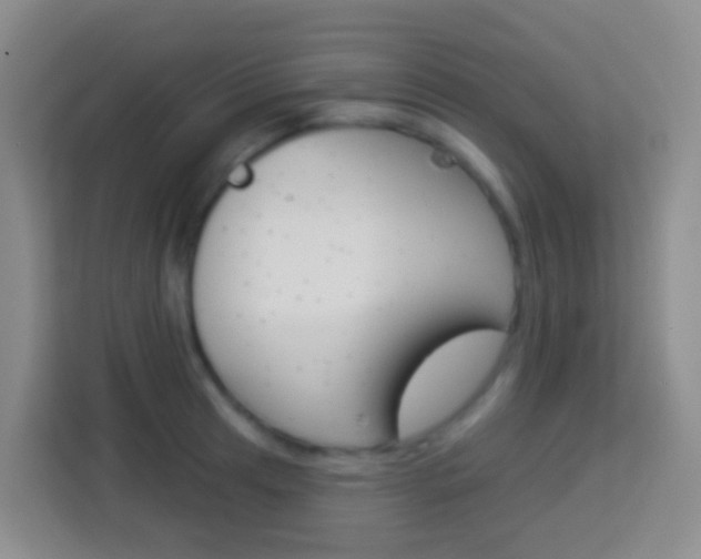 X0000114071041200910051011