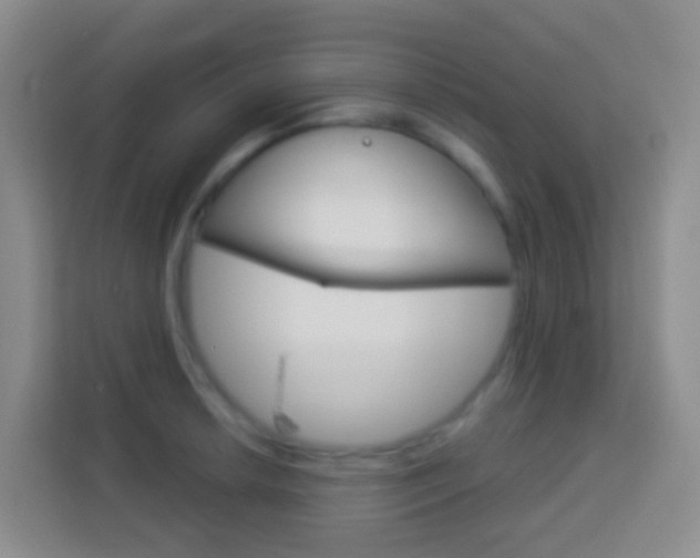X0000114071042200910051011