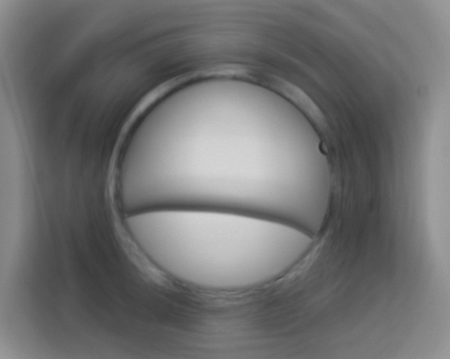 X0000114071044200910051011
