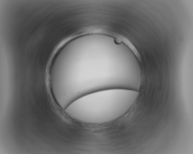X0000114071051200910051012
