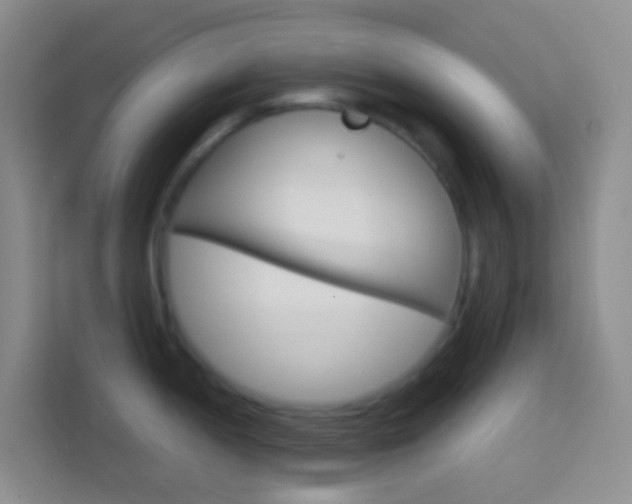 X0000114071052200910051012