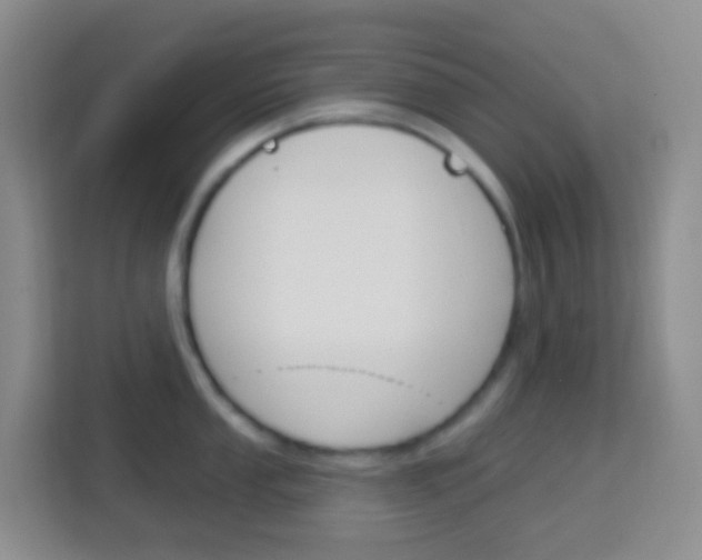 X0000114071053200910051012