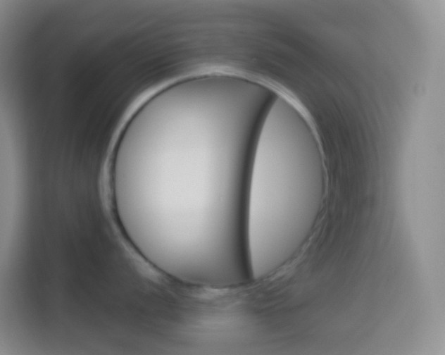 X0000114071056200910051012