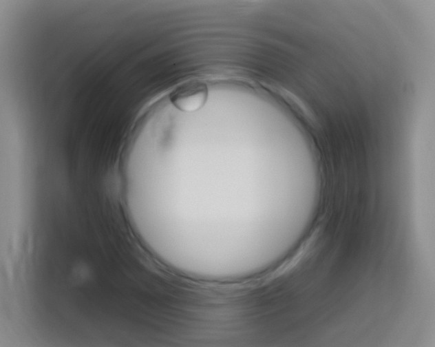 X0000114071065200910051011