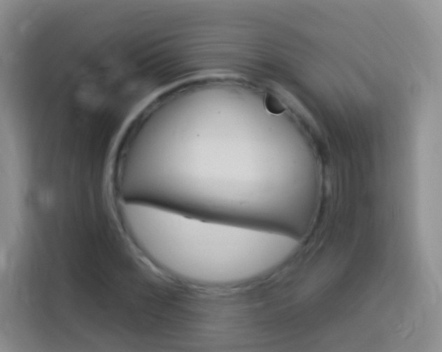 X0000114071068200910051011
