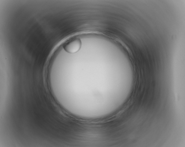 X0000114071069200910051011
