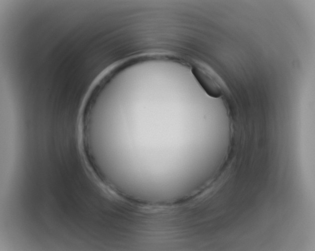 X0000114071076200910051011