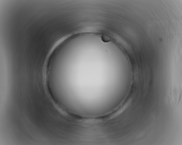 X0000114071077200910051011