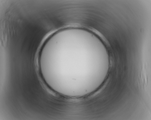 X0000114071078200910051011