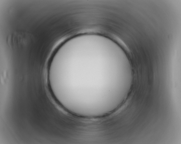 X0000114071079200910051011