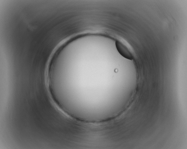 X0000114071080200910051011