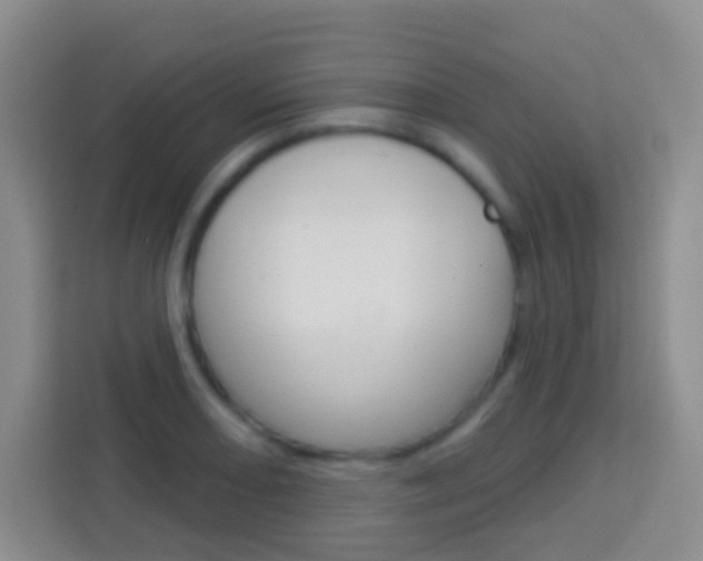 X0000114071082200910051011