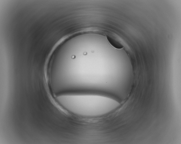 X0000114071084200910051011