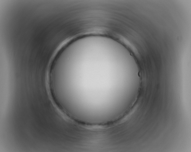 X0000114071085200910051011