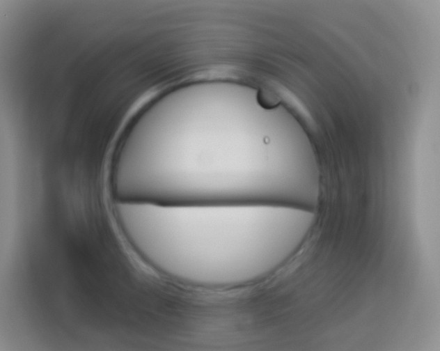 X0000114071087200910051011