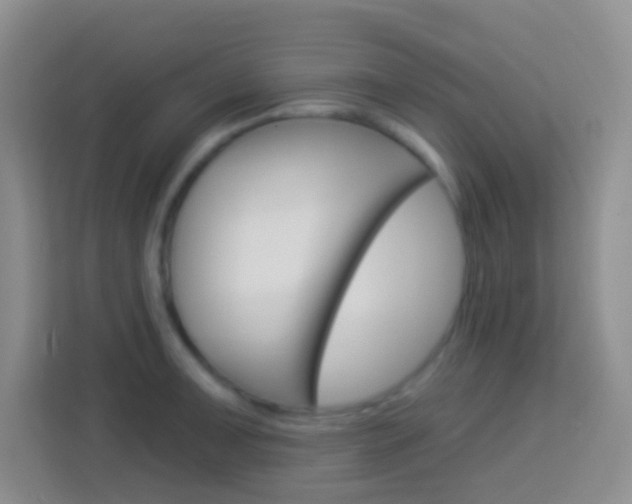 X0000114071091200910051011