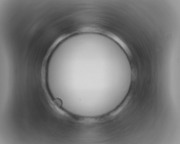 X0000114071094200910051011