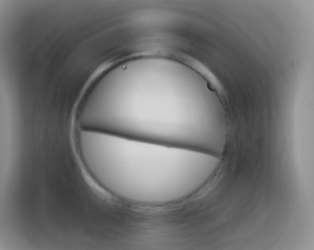 X0000114071095200910051011