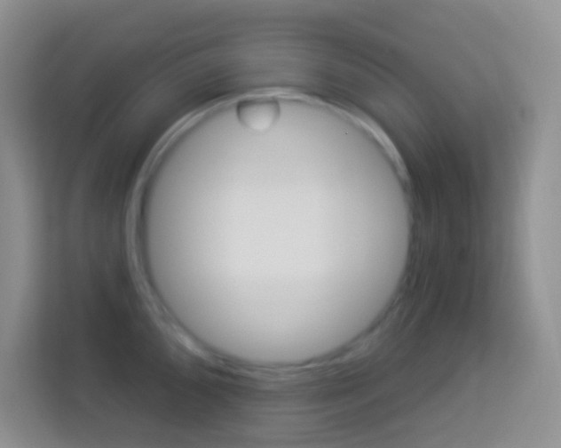 X0000114071096200910051011