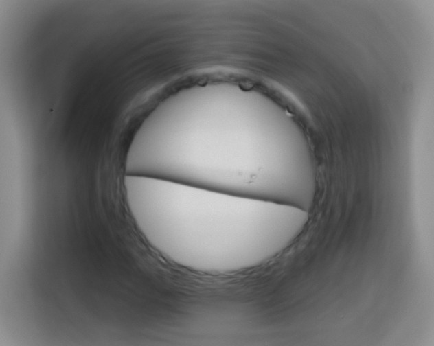 X0000114071111200910051010