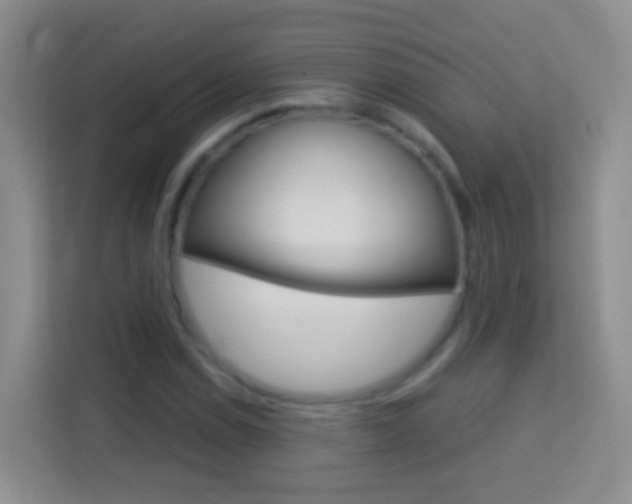 X0000114071114200910051010