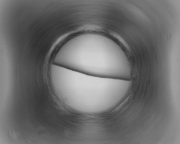 X0000114071115200910051010