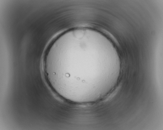 X0000114071125200910051010