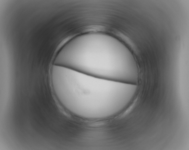 X0000114071129200910051010