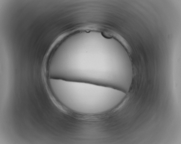 X0000114071131200910051010