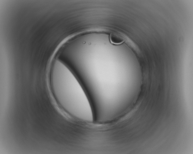 X0000114071132200910051010