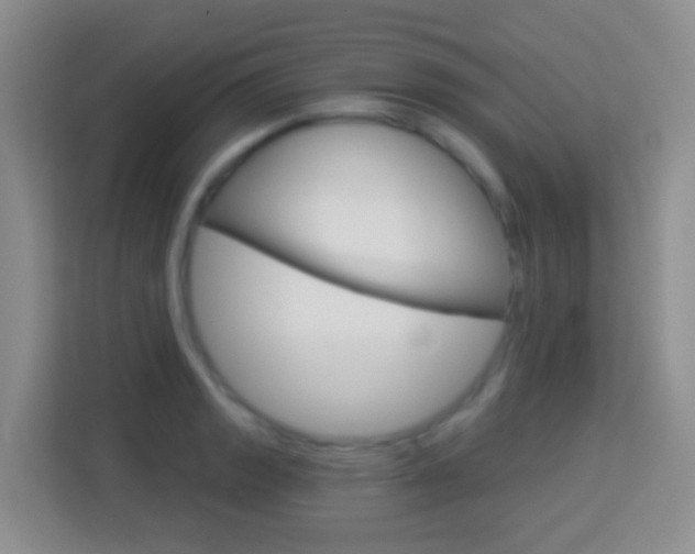X0000114071133200910051010