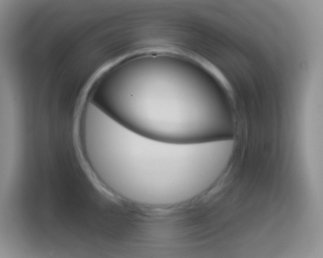 X0000114071144200910051010