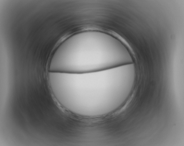 X0000114071145200910051010