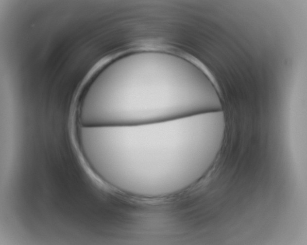 X0000114071147200910051010