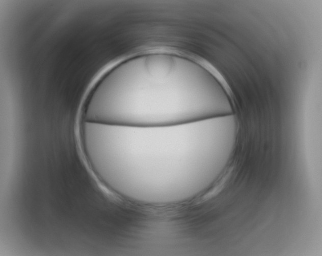 X0000114071149200910051010