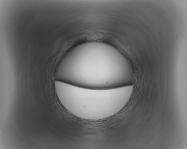 X0000114071153200910051010