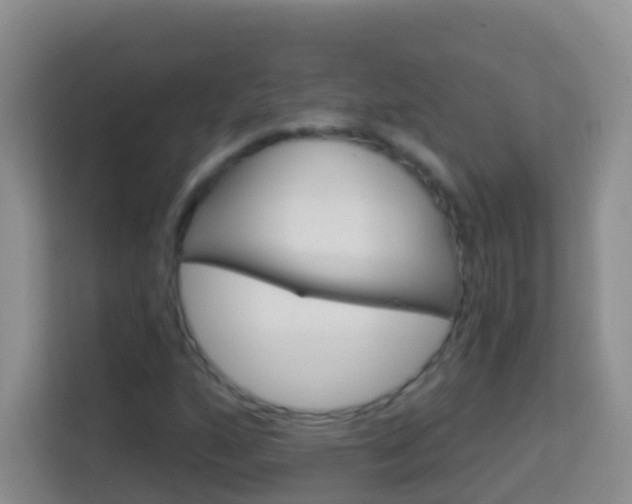X0000114071160200910051010