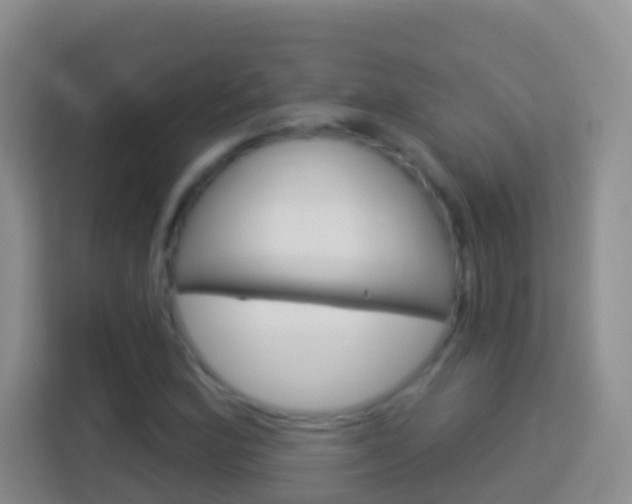 X0000114071164200910051010