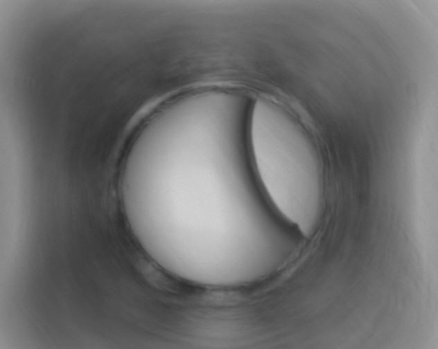 X0000114071168200910051010